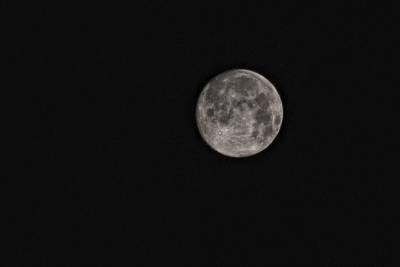Уфолог Скотт Уоринг обнаружил на фотографии Луны 200-метровое здание