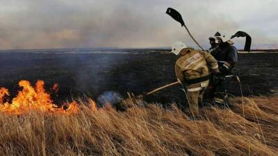 Сотрудники КЧС за сутки потушили природные пожары в семи регионах Казахстана