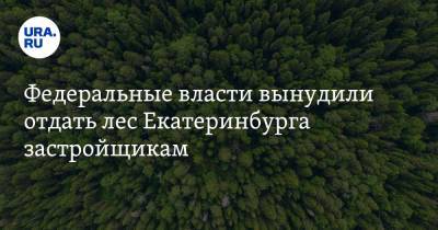 Федеральные власти вынудили отдать лес Екатеринбурга застройщикам. Детали переговоров