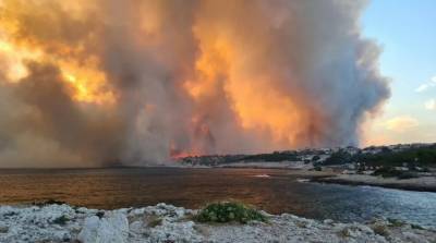 Аномальная жара в Европе: Францию и Италию охватили лесные пожары