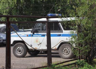 В Тюмени патрульный УАЗ с сиреной сбил 17-летнюю девушку на пешеходном переходе