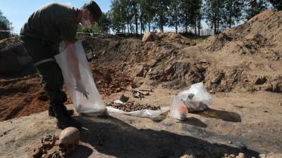 Новые факты жутких преступлений нацистов: останки более 50 человек обнаружены под Псковом