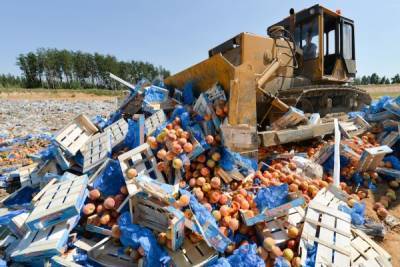 Чиновники: В России за 5 лет уничтожено 36 тыс. тонн санкционных продуктов