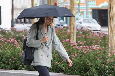 Москвичам спрогнозировали дождливый 2020 год