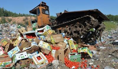 Россия за пять лет уничтожила более 36 тысяч тонн санкционной еды