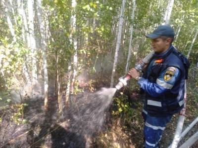 Природный пожар в Мишкинском районе растянулся уже на 149 гектаров