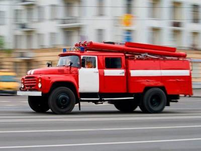 В Смоленске пожарные спасли пятерых человек и собаку