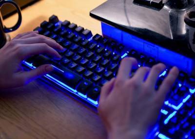В Госдуме считают необходимым ужесточить ответственность за киберпреступления