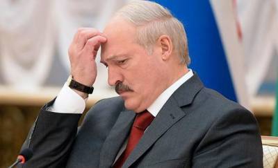И ста человек нет. Посмотрите, как прошел один из агитационных пикетов Лукашенко в Гомеле — видео