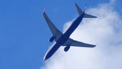 «Аэрофлот» отменит часть международных рейсов до сентября