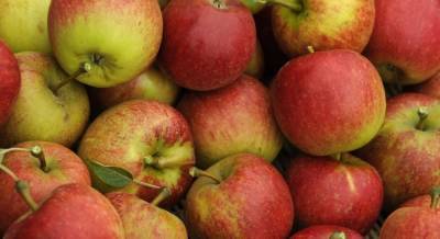 В Украине рекордно подорожали яблоки: что стало причиной
