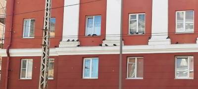 Депутат нашел способ защитить от голубей отремонтированные фасады домов в Петрозаводске
