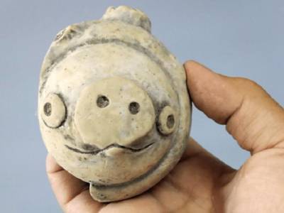 Археологи нашли 3000-летнюю «свинью из Angry Birds» в Китае