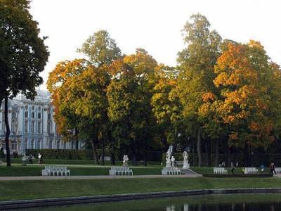 Петербургский градостроительный совет раскритиковал проект центра сказок «Лукоморье» в Пушкине