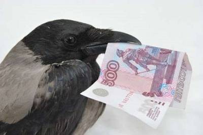 В Могилеве ворона украла деньги (ВИДЕО)