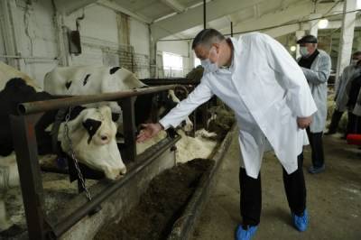 Строительство новой роботизированной животноводческой фермы запущено на Вологодчине