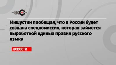 Мишустин пообещал, что в России будет создана спецкомиссия, которая займется выработкой единых правил русского языка