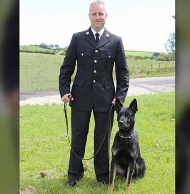 В Великобритании полицейская собака-новичок нашла пропавших женщину с ребенком, — Fox News