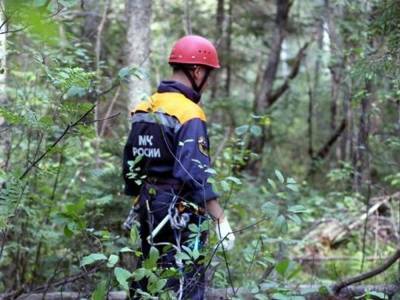 Сахалинские спасатели нашли заблудившегося грибника