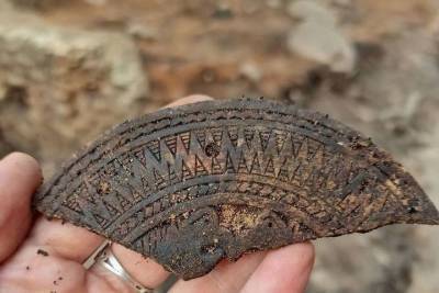 Часть старинного убранства коня нашли псковские археологи на Герцена