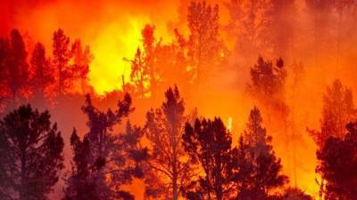 Пожары, тайфуны, снегопады: Землю продолжают атаковать природные катаклизмы