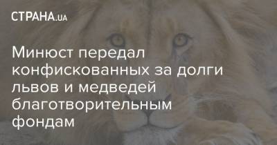 Минюст передал конфискованных за долги львов и медведей благотворительным фондам