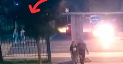 Сбивший на пешеходном переходе двух женщин в Москве водитель попал на видео