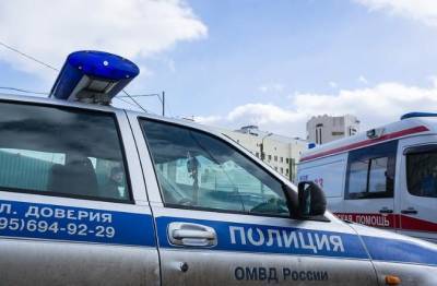В Москве задержали подозреваемого в изнасиловании двух женщин в Чоботовском лесу