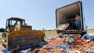 За пять лет Россия уничтожила 36 тысяч тонн санкционных продуктов