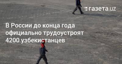 В России до конца года официально трудоустроят 4200 узбекистанцев