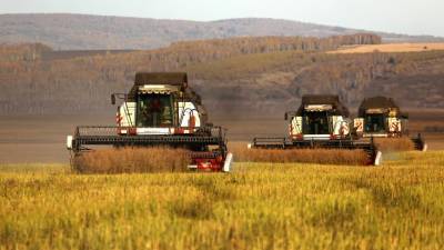 Аграрная перезагрузка: Россия за шесть лет снизила импорт продовольствия на треть