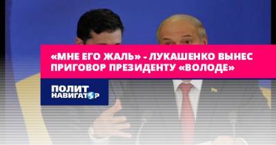 «Мне его жаль» – Лукашенко вынес приговор президенту...