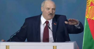 Лукашенко заявил, что ему жалко президента Украины Зеленского