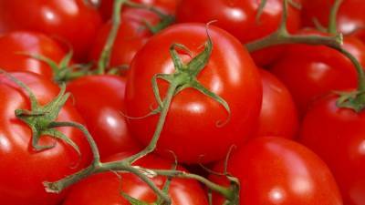 Академик РАН заявил, что ГМО-растения абсолютно безопасны