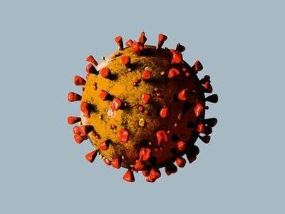 Ученые нашли «идеальную стратегию» борьбы с коронавирусом