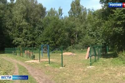 В Реадовском парке в Смоленске заканчивается строительство площадки для выгула собак