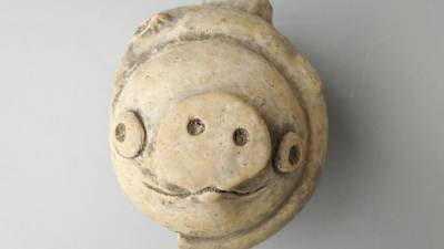 В Китае откопали «свинью из Angry Birds» возрастом 3000 лет