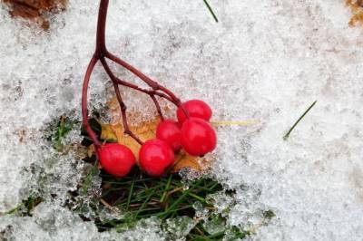 В самом северном городе России выпал снег