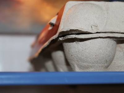 «Предприятие до недавнего времени практически лежало на боку»: Власти рассмотрели проект модернизации птицефабрики в Гафурийском районе Башкирии