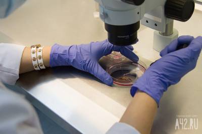 Учёные нашли слабое место нового коронавируса