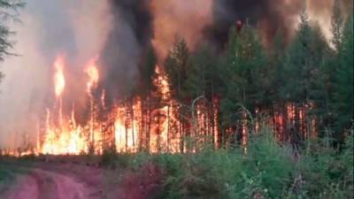 На территории Якутии действует 130 природных пожаров
