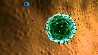 Можно ли заразиться коронавирусом повторно? Всё об иммунитете к Covid-19