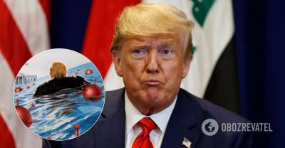 Трамп на обложке Time попал в взрывное море коронавируса - фото и видео