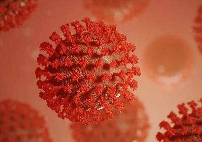 Число заболевших коронавирусом рязанцев увеличилось на 25