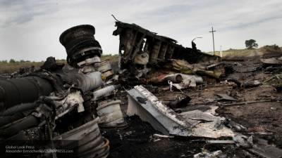 Русская жительница Голландии заявила, что в деле MH17 есть большая надежда