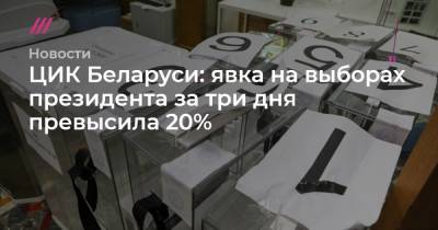 ЦИК Беларуси: явка на выборах президента за три дня превысила 20%