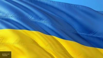 Украинская националистка пообещала себя поджечь, чтобы привлечь внимание