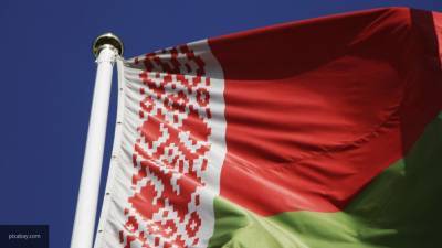 Глава белорусского ЦИК назвала платформу "Голос" политической "аферой"