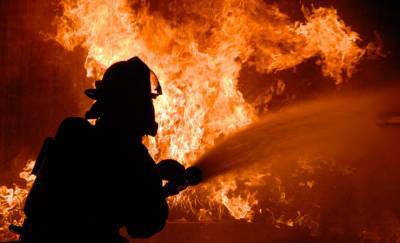 В Гомельской области на пожаре в собственном доме сгорел мужчина