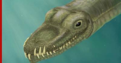 Ученые разгадали тайну рептилии с шеей в 3 раза длиннее туловища